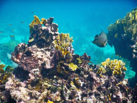 The Belize Barrier Reef