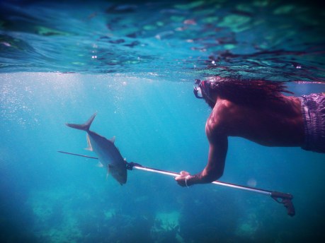 Spear Fisherman of the Caribbean